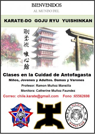 CLASES MENSUALES